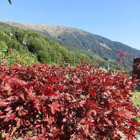 Ferienhaus Schwarzhans シュルンス エクステリア 写真